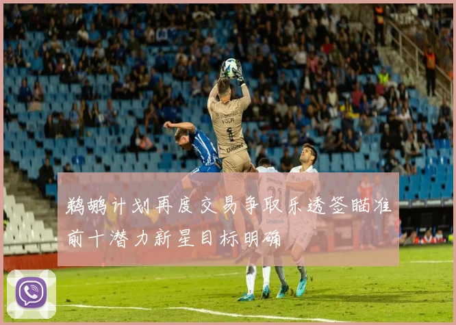 鹈鹕计划再度交易争取乐透签瞄准前十潜力新星目标明确