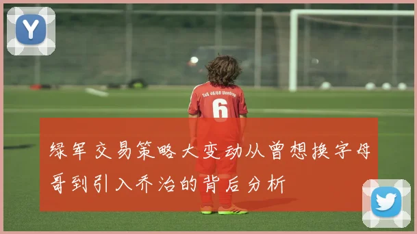 绿军交易策略大变动从曾想换字母哥到引入乔治的背后分析